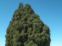 P1050431