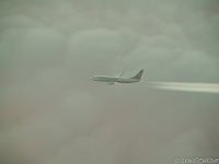 L1210279