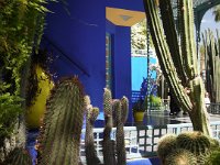 Jardin Majorelle