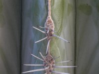 L1230902