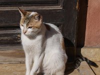L1230415