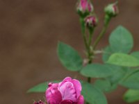 L1230602