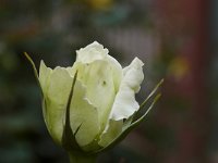 L1230615
