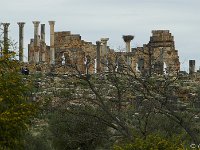 Volubilis