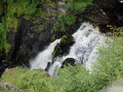 Lealt Fall